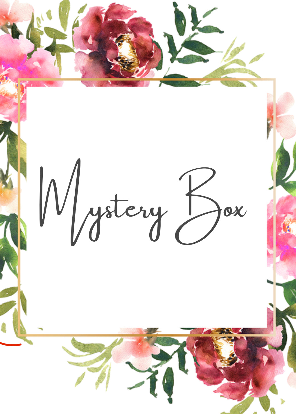 Mystery Box’s